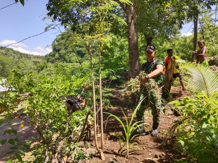 Bantu Petani, Pos Aplal Satgas Yonkaf 6/Naga Karimata, Membersihkan Ladang Jagung Masyarakat