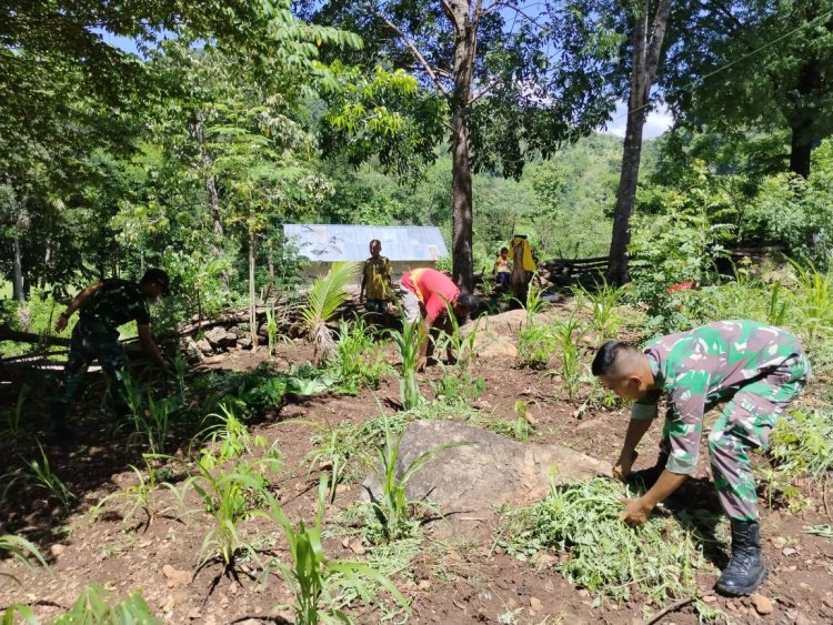 Bantu Petani, Pos Aplal Satgas Yonkaf 6/Naga Karimata, Membersihkan Ladang Jagung Masyarakat