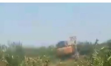 Diduga Eskavator Terlibat dalam Pengelolaan Areal Kawasan Zona Hijau yang Akan Dialih Fungsikan menjadi Kebun Kelapa Sawit