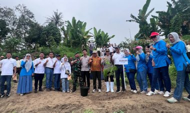 PTPN I Regional 1 Tanam 300 Bibit Pohon di Bantaran Sungai Blumai untuk Cegah Banjir