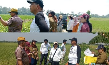 Hentikan Fitnah! Sengketa Tanah Pematang Kelang Sudah Berkekuatan Hukum Tetap