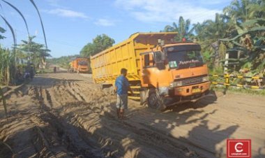 Jalan Manggala–Pujud Rohil Diperbaiki Juni 2025