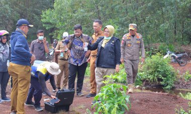 Bupati Siak Tinjau Sawah Kering di Bungaraya
