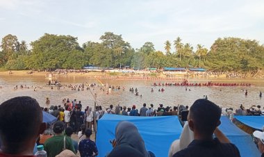 Pacu Jalur Kuansing Viral, Dunia Tertuju ke Riau