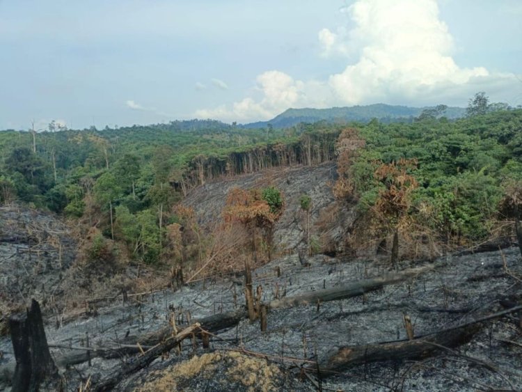 Polres Inhu Tangkap Pembakar Lahan 1 Hektare di Batang Cenaku