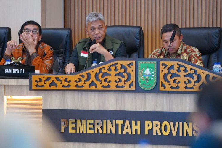 Riau Targetkan Replanting Sawit Rakyat 10.800 Hektare di 2025