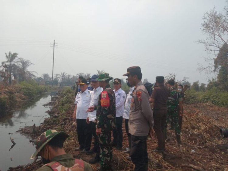 Kemenhut RI Tinjau Langsung Titik Api Karhutla di Rokan Hilir