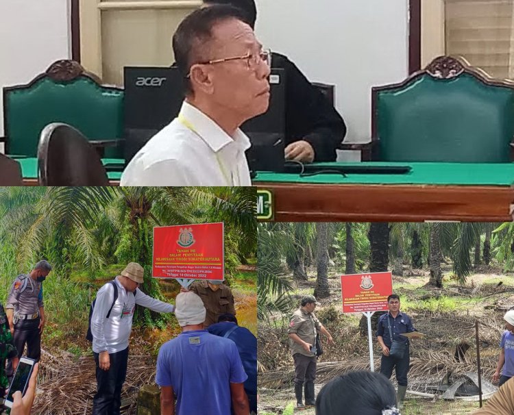 Vonis 10 Tahun, Akuang Tak Ditahan: Sawit Ilegal di Hutan Negara Masih Dipanen