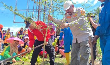 ASN dan PPPK Rohil Wajib Tanam 15 Pohon, Bupati Terbitkan Edaran Lingkungan