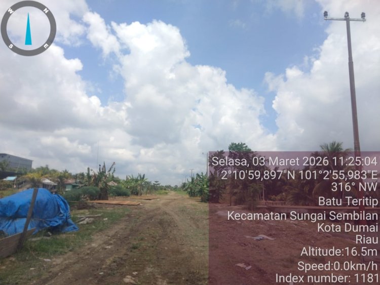 Polemik Jalan Sinaboi–Dumai: PT DRT Bantah Izin Habis, Aktivis Soroti Aturan Hutan
