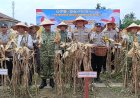 Waka Polda Riau Pimpin Panen Raya Jagung Nasional di Pekanbaru