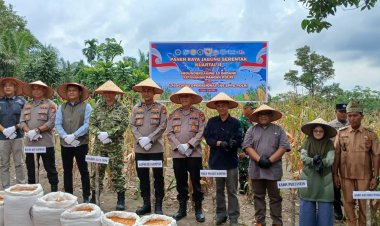 Dukung Swasembada Pangan, Kapolsek Kampar Kawal Langsung Pengiriman Jagung Petani ke Bulog