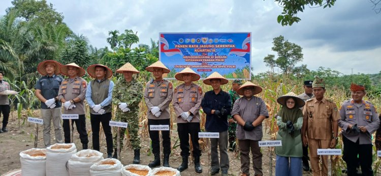 Dukung Swasembada Pangan, Kapolsek Kampar Kawal Langsung Pengiriman Jagung Petani ke Bulog