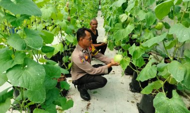 Bhabinkamtibmas Monitoring Pekarangan Bergizi Warga Guna Dukung Ketahanan Pangan