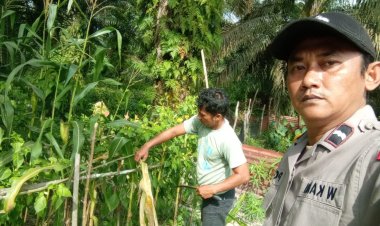 Bhabinkamtibmas Desa Makmur Aipda Wempi Kamri Sambangi Pekarangan Bergizi Guna Dukung Ketahanan Pangan