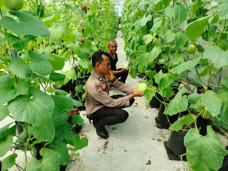 Bhabinkamtibmas Monitoring Pekarangan Bergizi Warga Guna Dukung Ketahanan Pangan