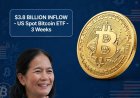 ETF Bitcoin Masuk US$3,8 Miliar, Harga Tertekan