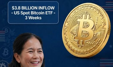 ETF Bitcoin Masuk US$3,8 Miliar, Harga Tertekan
